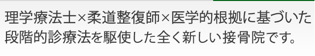 理学療法士×柔道整復師×医学的根拠に基づいた 段階的診療法を駆使した全く新しい接骨院です。