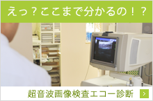 えっ？ここまで分かるの！？超音波画像検査エコー診断